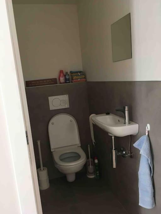 'Het T-Huisje' Volledig Ingerichte Studio Lovaina Exterior foto
